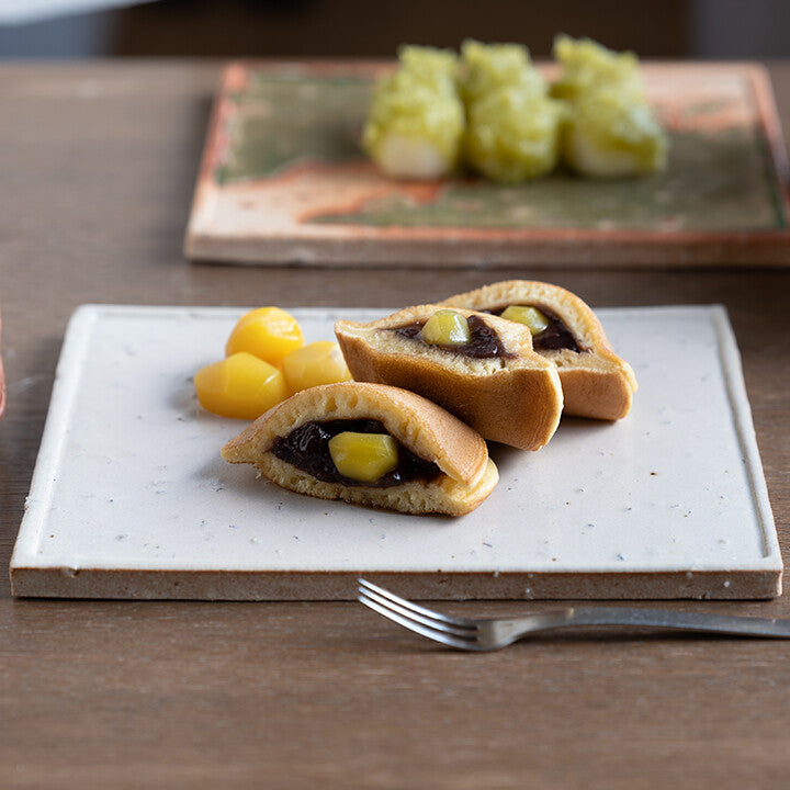 Shigarakiyaki Rectangle Flat Dinner Plate