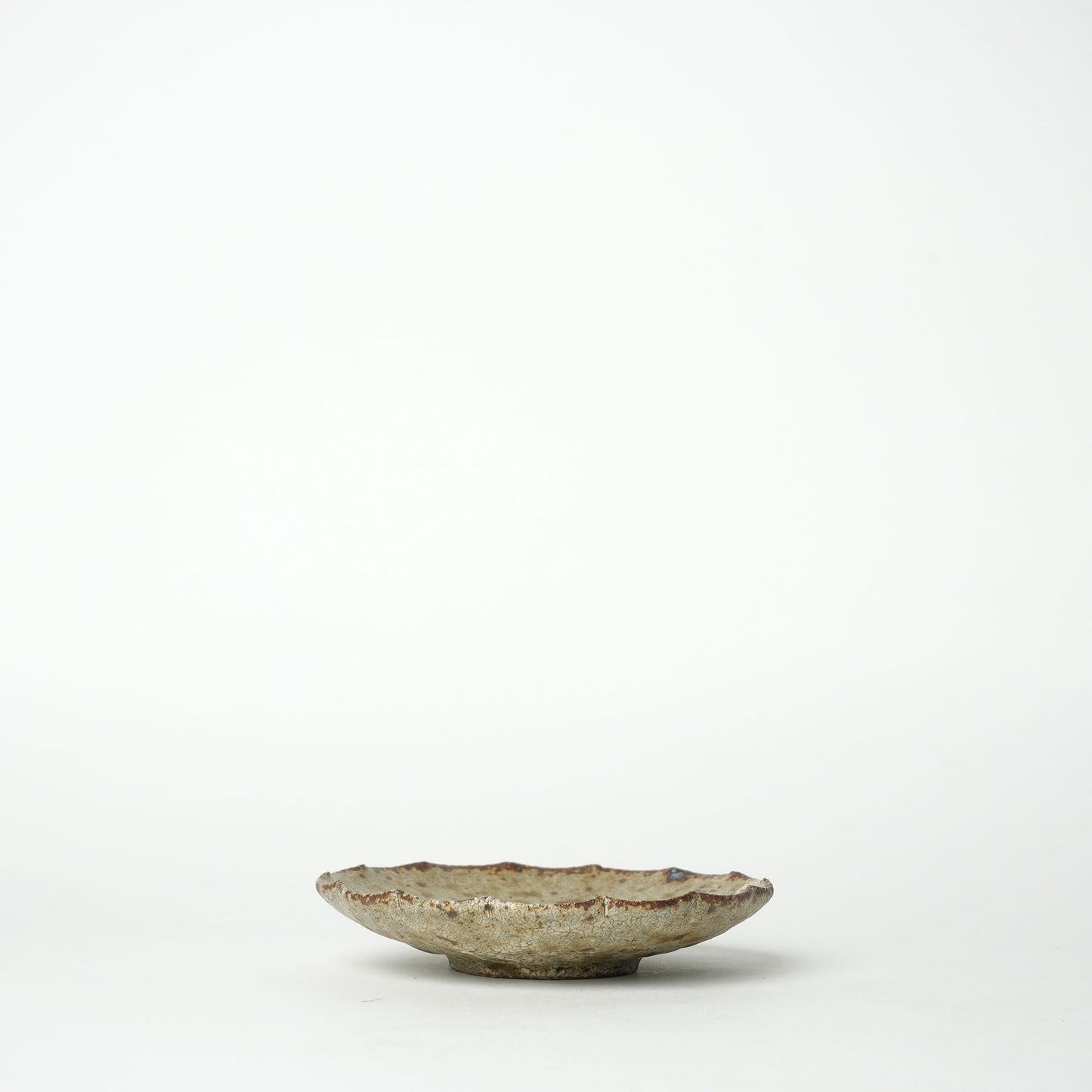 Shingo Umano Rinka Plate S