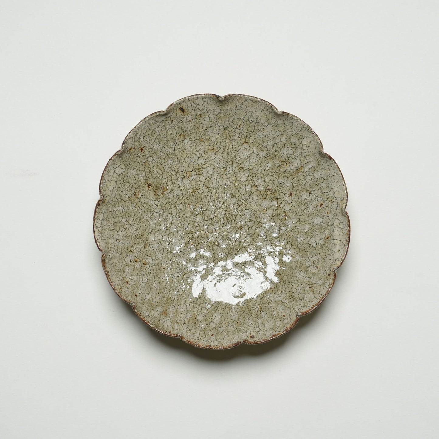 Shingo Umano Rinka Plate M