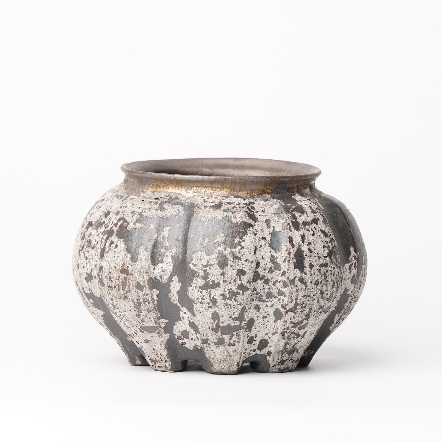 Nobuko Konno planter Black