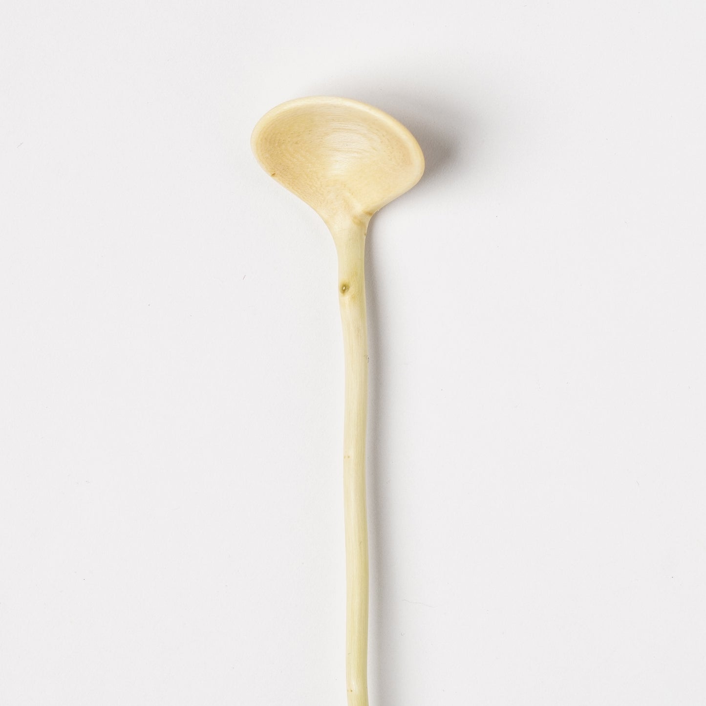 Ibuki Kaiyama Spoon of Branchese SS Japanese Zelkova tree