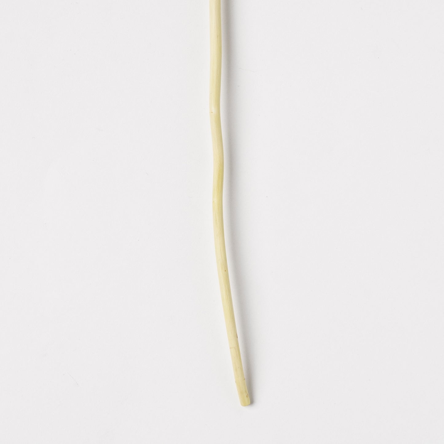 Ibuki Kaiyama Spoon of Branchese SS Japanese Zelkova tree