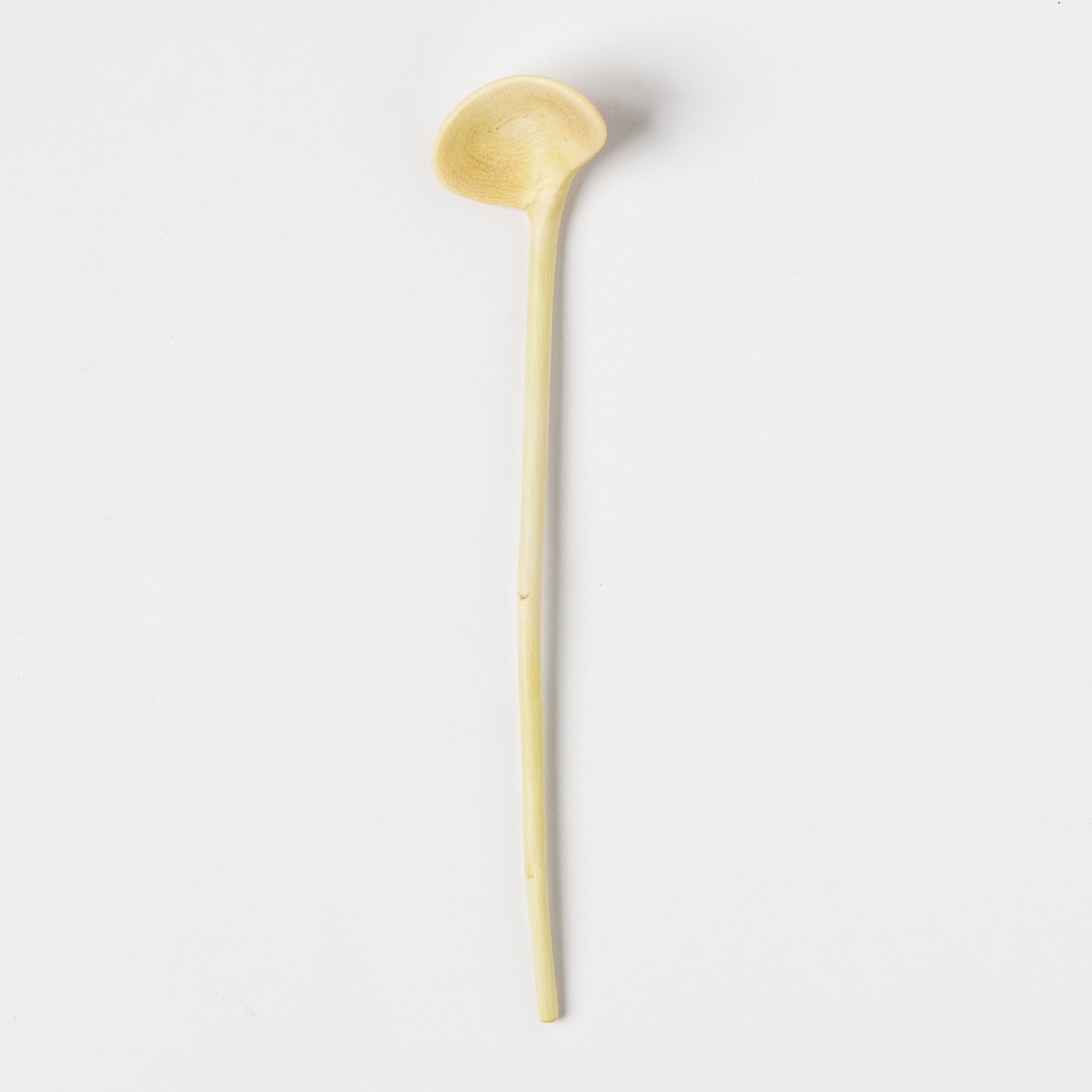 Ibuki Kaiyama Spoon of Branchese SS Japanese Zelkova tree