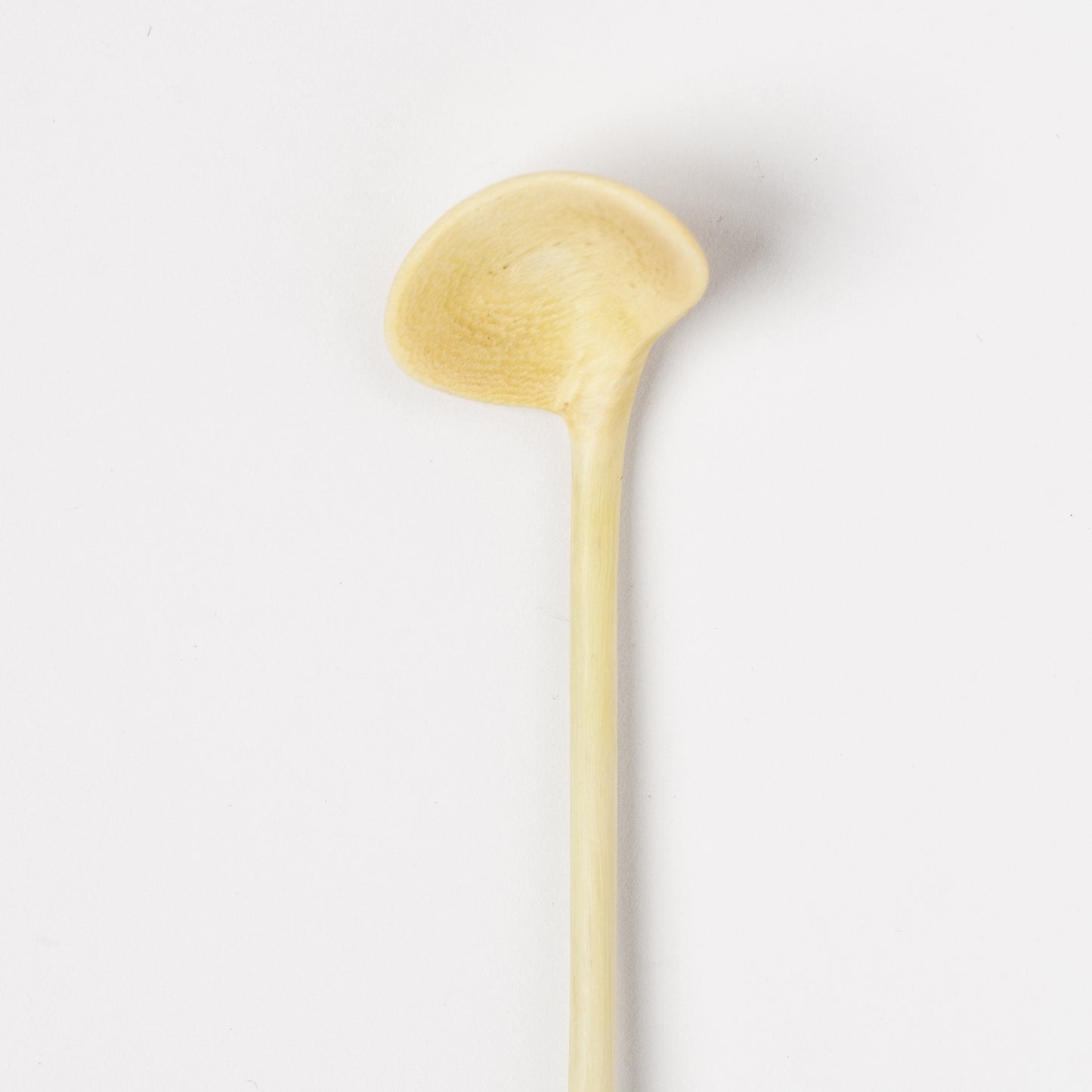 Ibuki Kaiyama Spoon of Branchese SS Japanese Zelkova tree