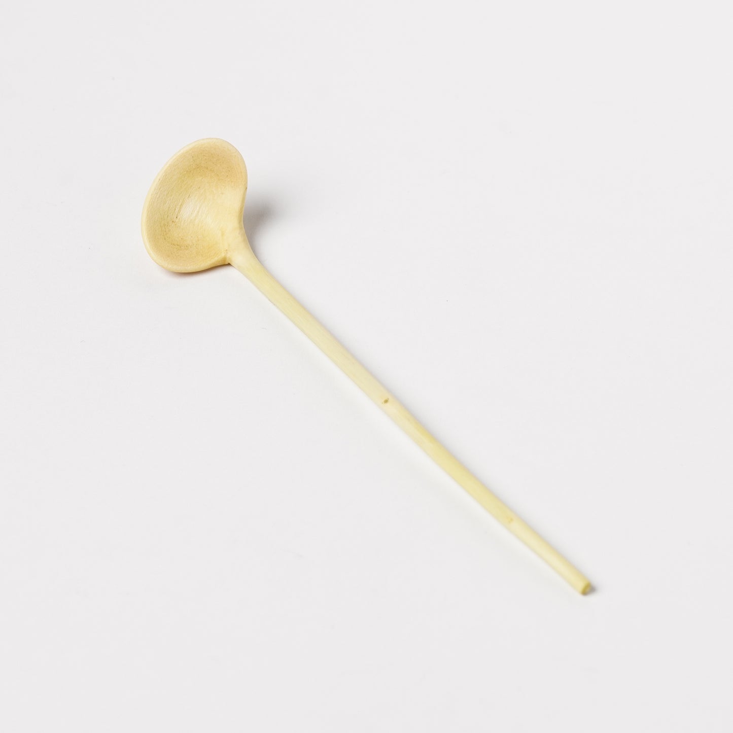 Ibuki Kaiyama Spoon of Branchese SS Japanese Zelkova tree