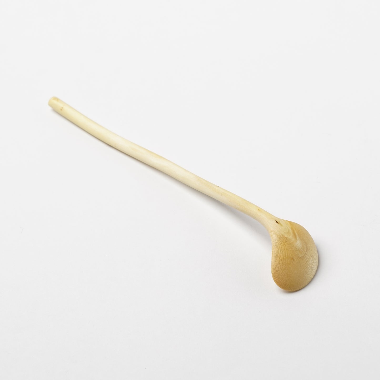 Ibuki Kaiyama Spoon of Branchese S Japanese Zelkova tree