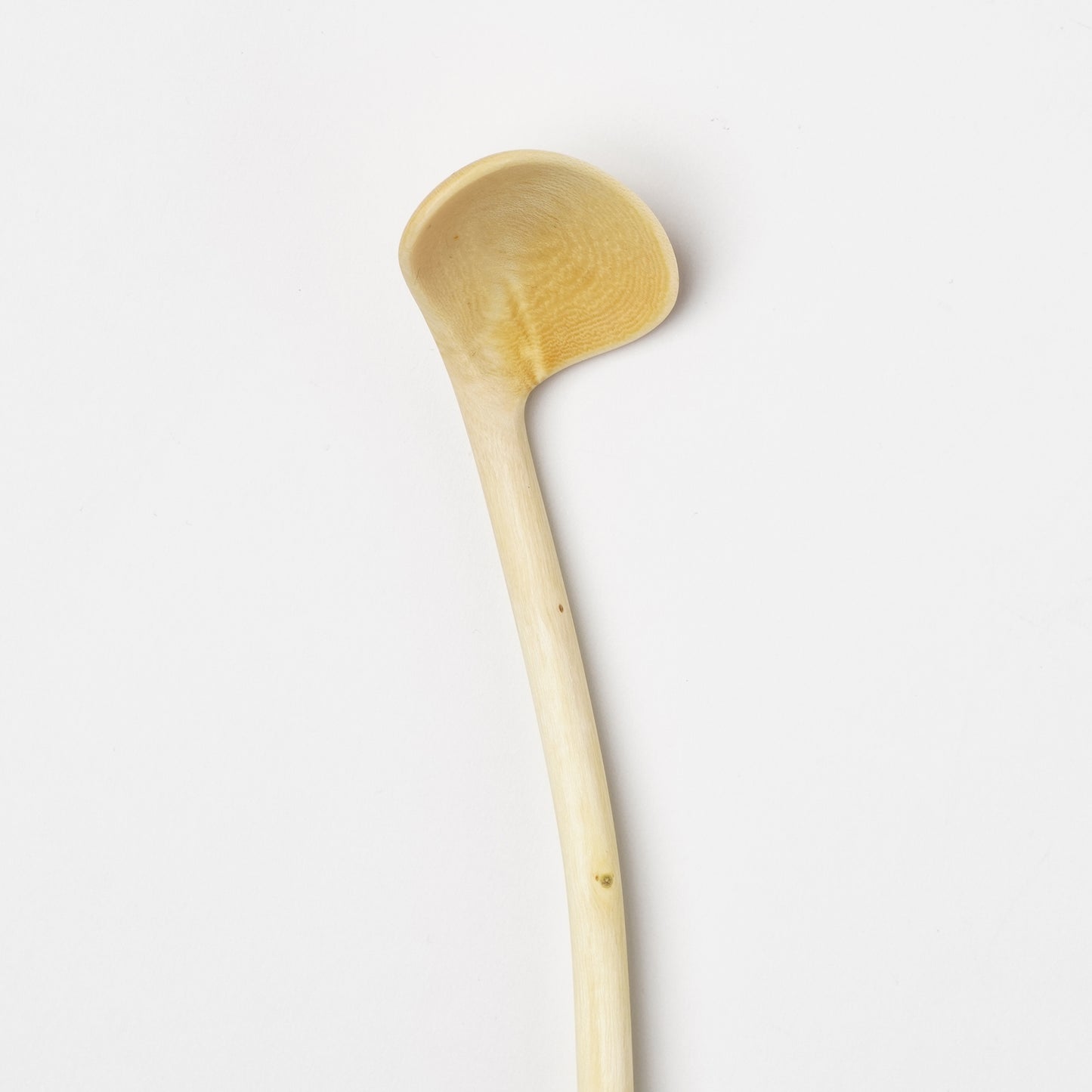 Ibuki Kaiyama Spoon of Branchese S Japanese Zelkova tree