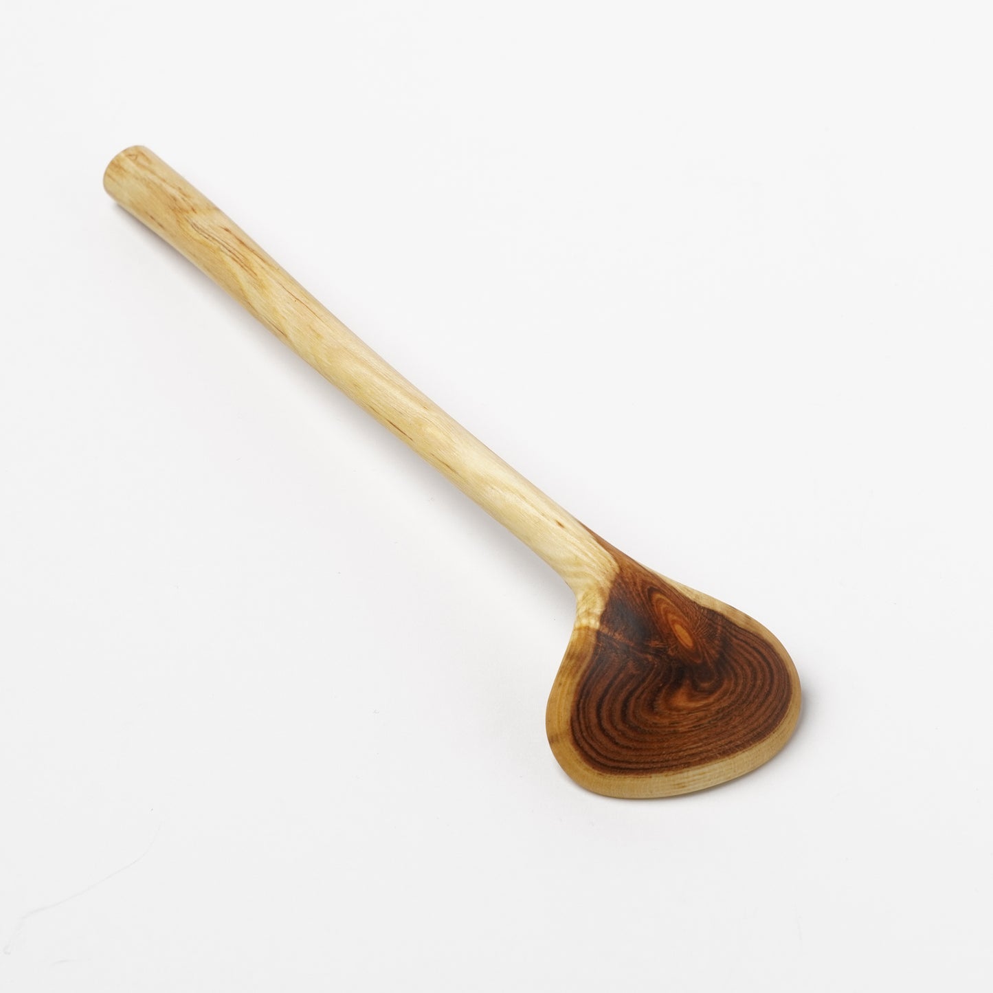 Ibuki Kaiyama Spoon of Branchese M Japanese Pegoda tree