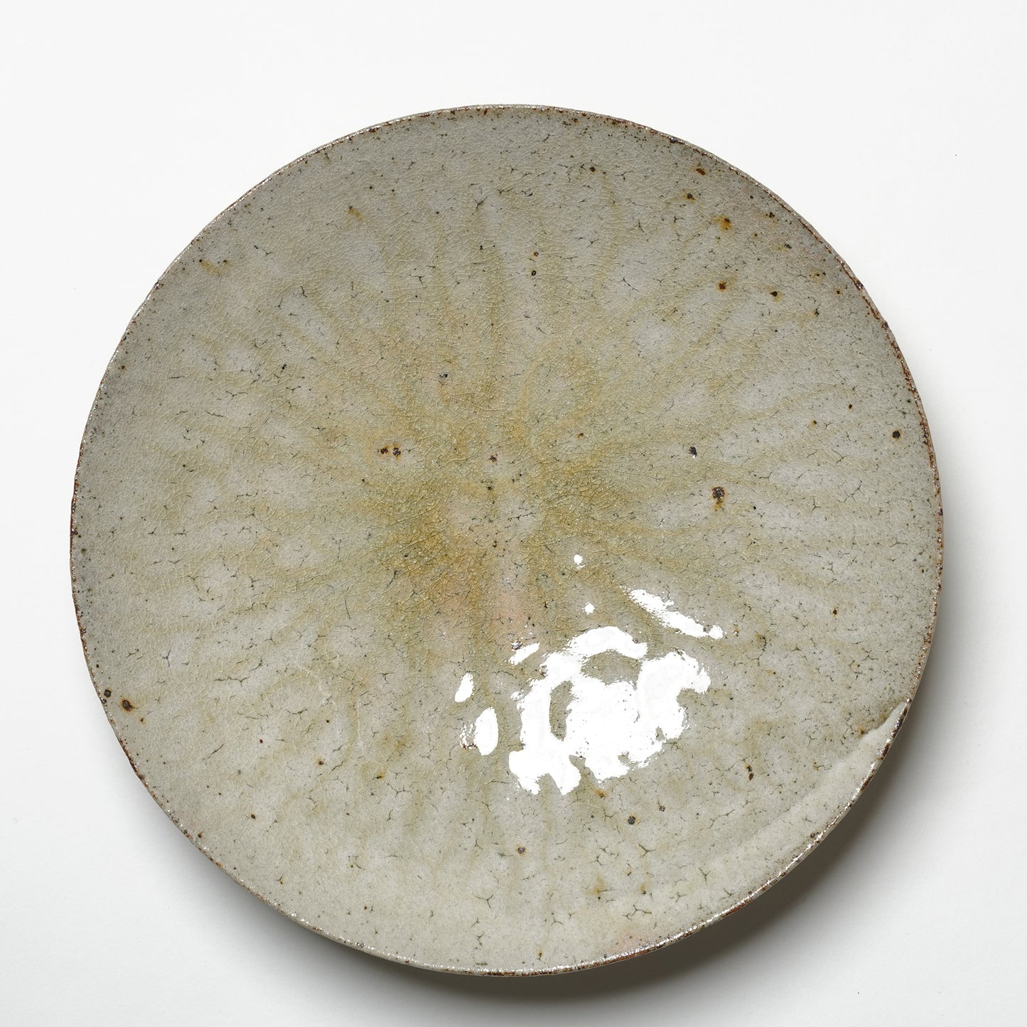 Shingo Umano Dinner Plate