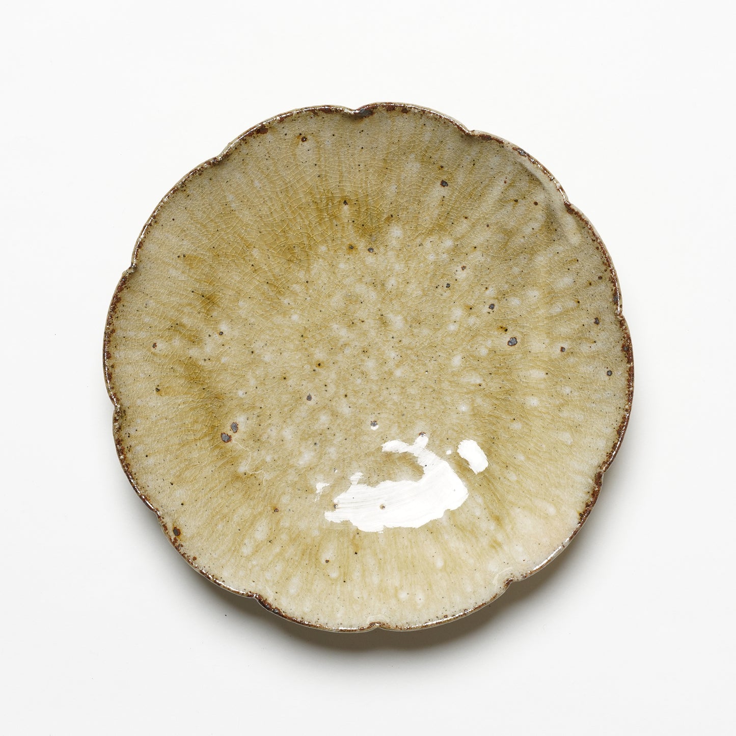 Shingo Umano Rinka Plate L
