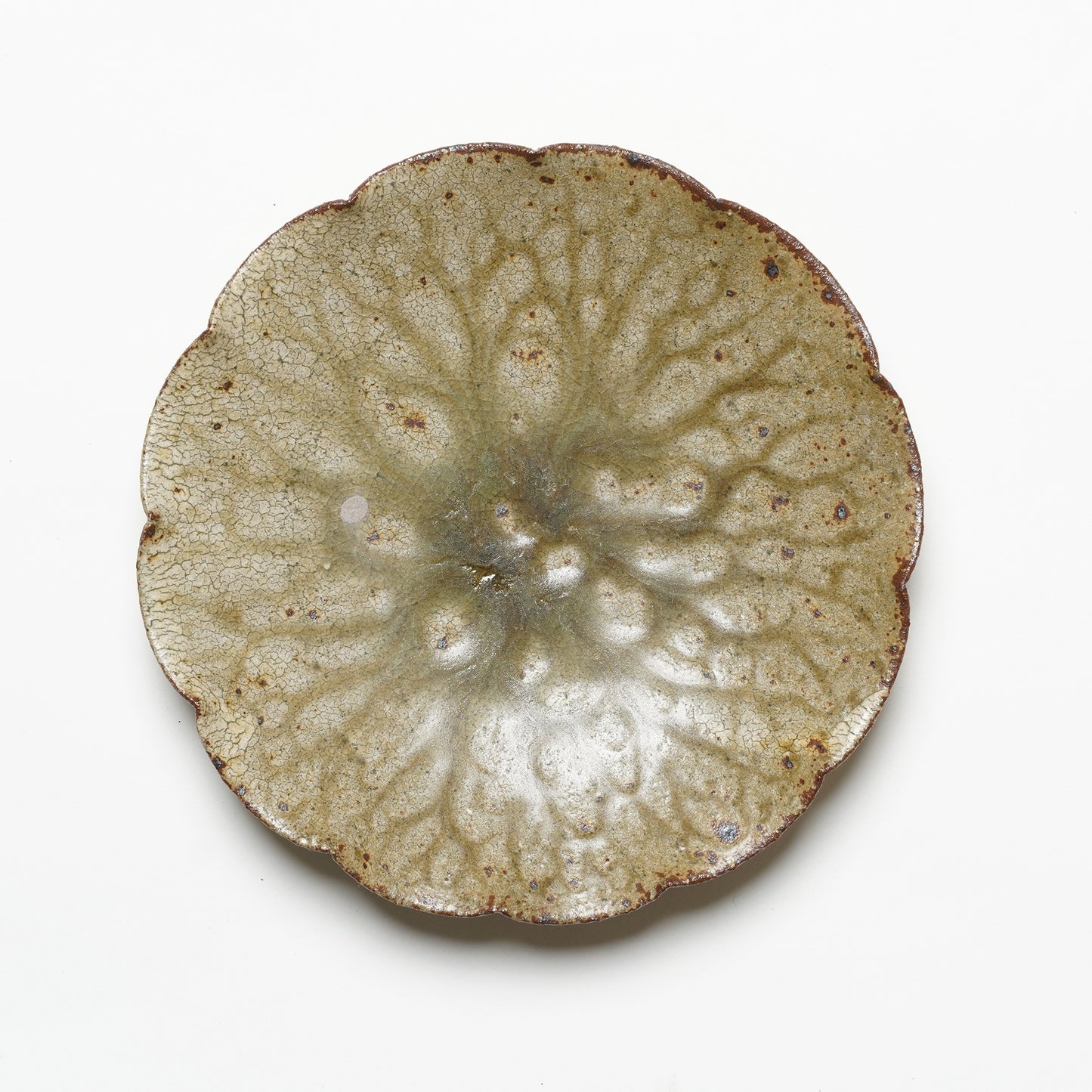 Shingo Umano Rinka Plate L
