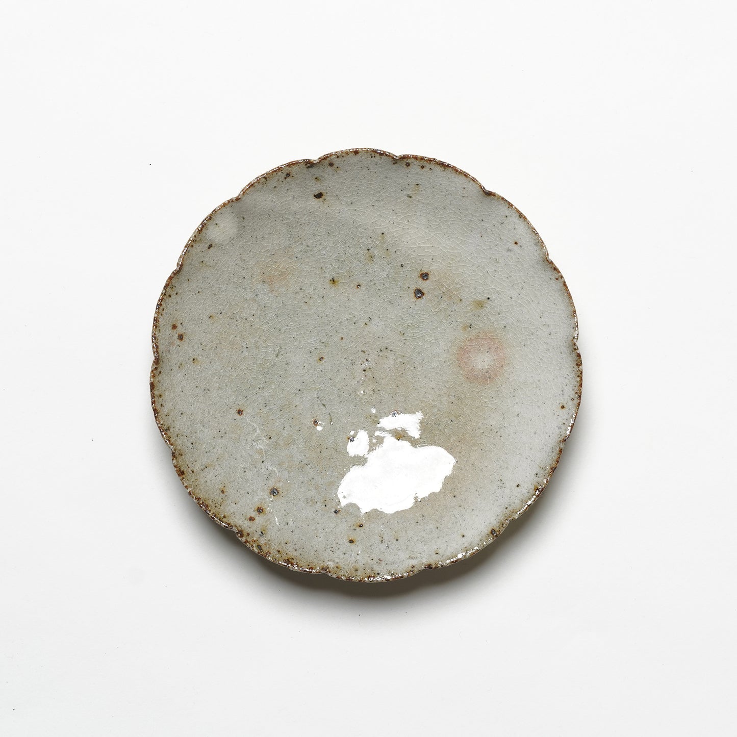 Shingo Umano Rinka Plate M