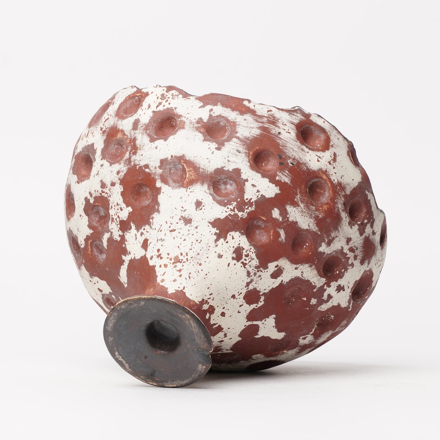 Nobuko Konno planter