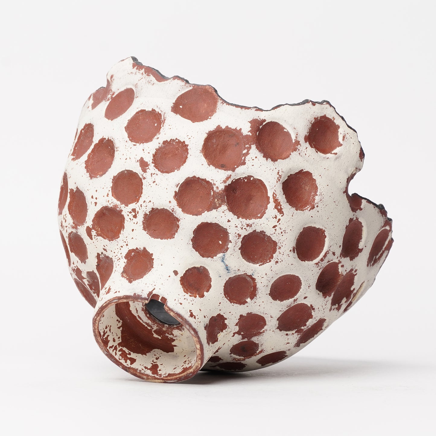 Nobuko Konno planter