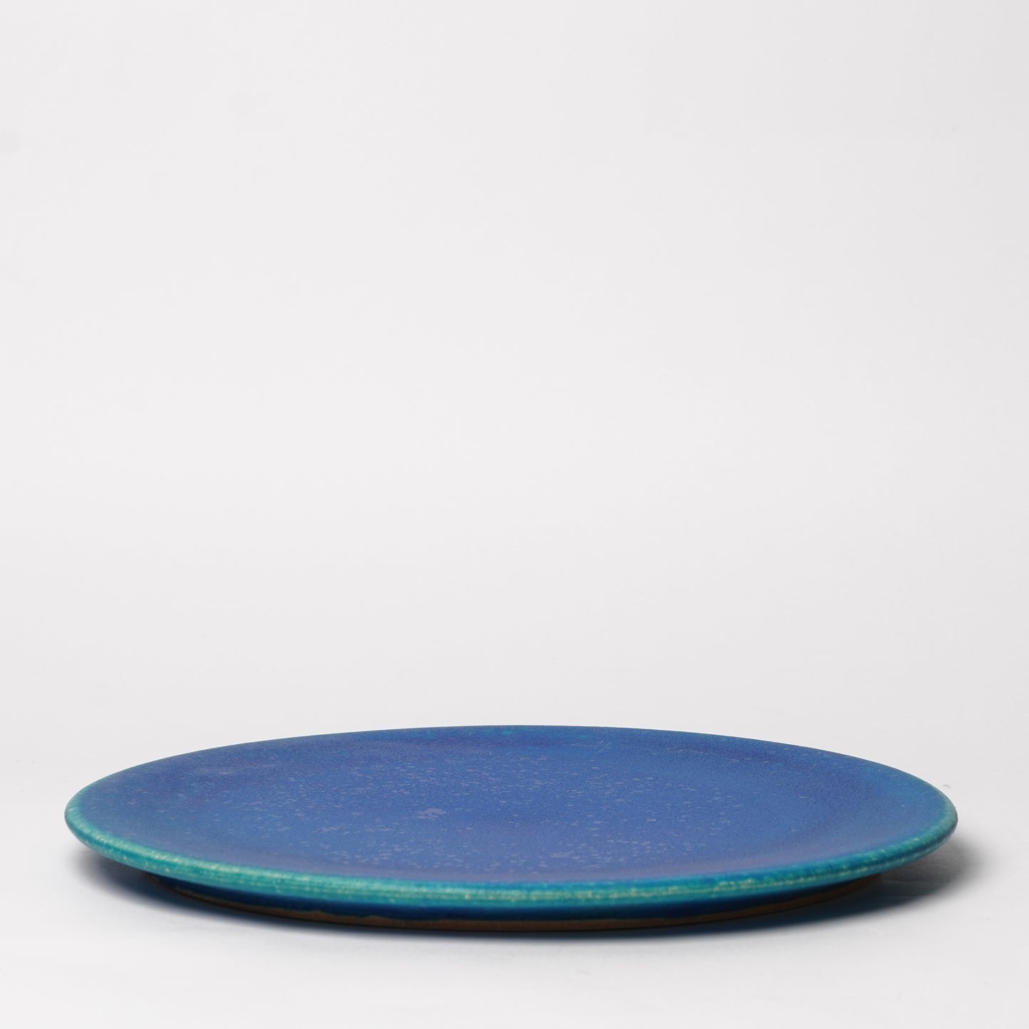 Shigarakiyaki Large Plate