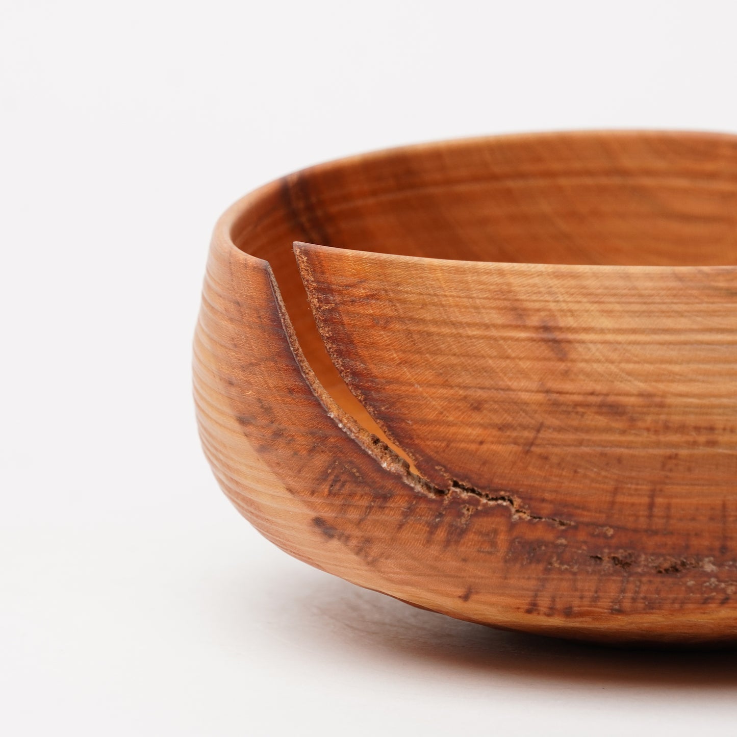 Yuzo Komada Apricot Tree Bowl