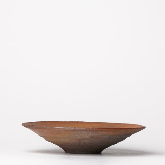 Shikamaru Takeshita Bowl Nanban Yakishime Wood Fired