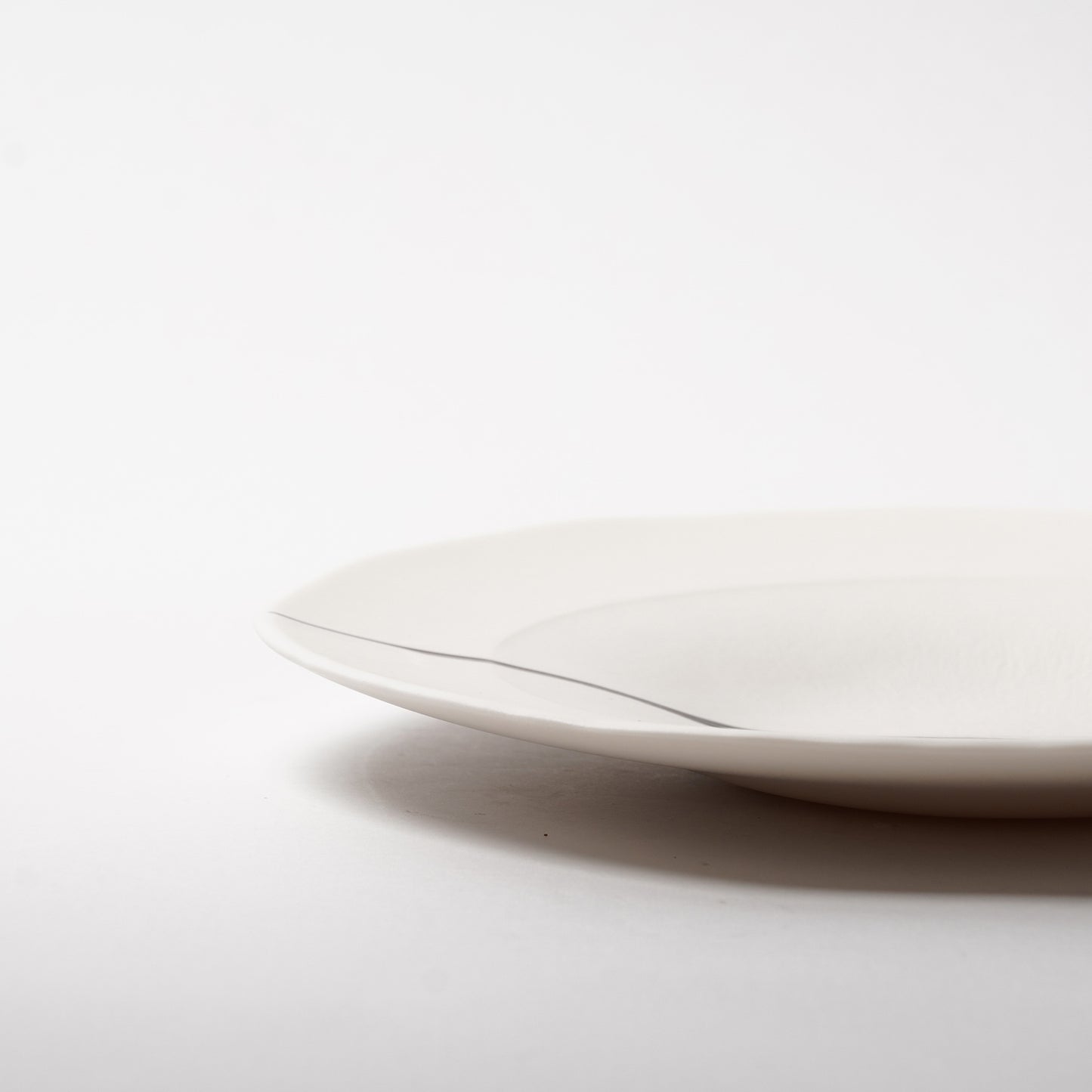 Hands of Mino Exhibition Yoichi Shiraishi Pasta Plate