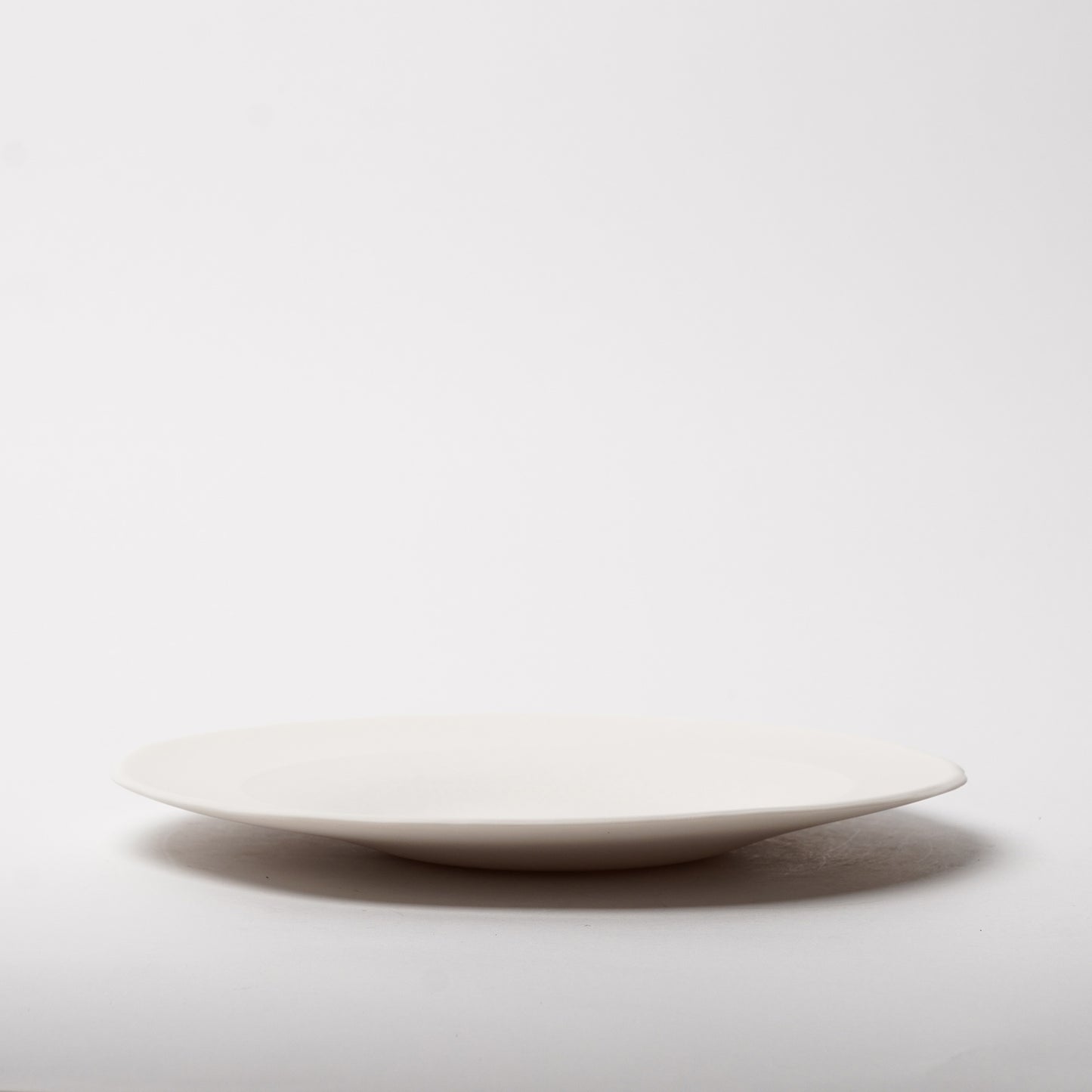 Hands of Mino Exhibition Yoichi Shiraishi Pasta Plate