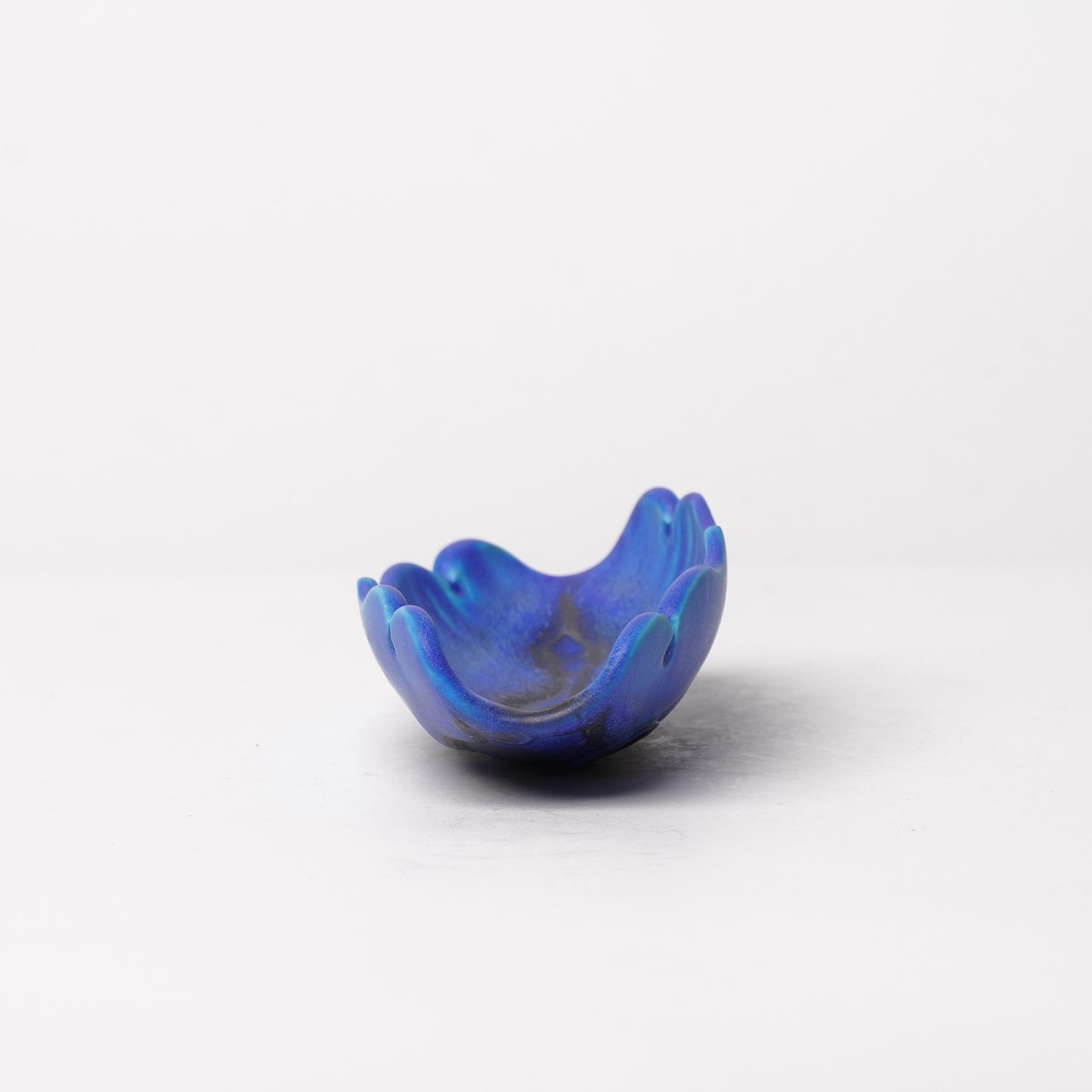 Nobuyuki Hagiwara Tea Scoop