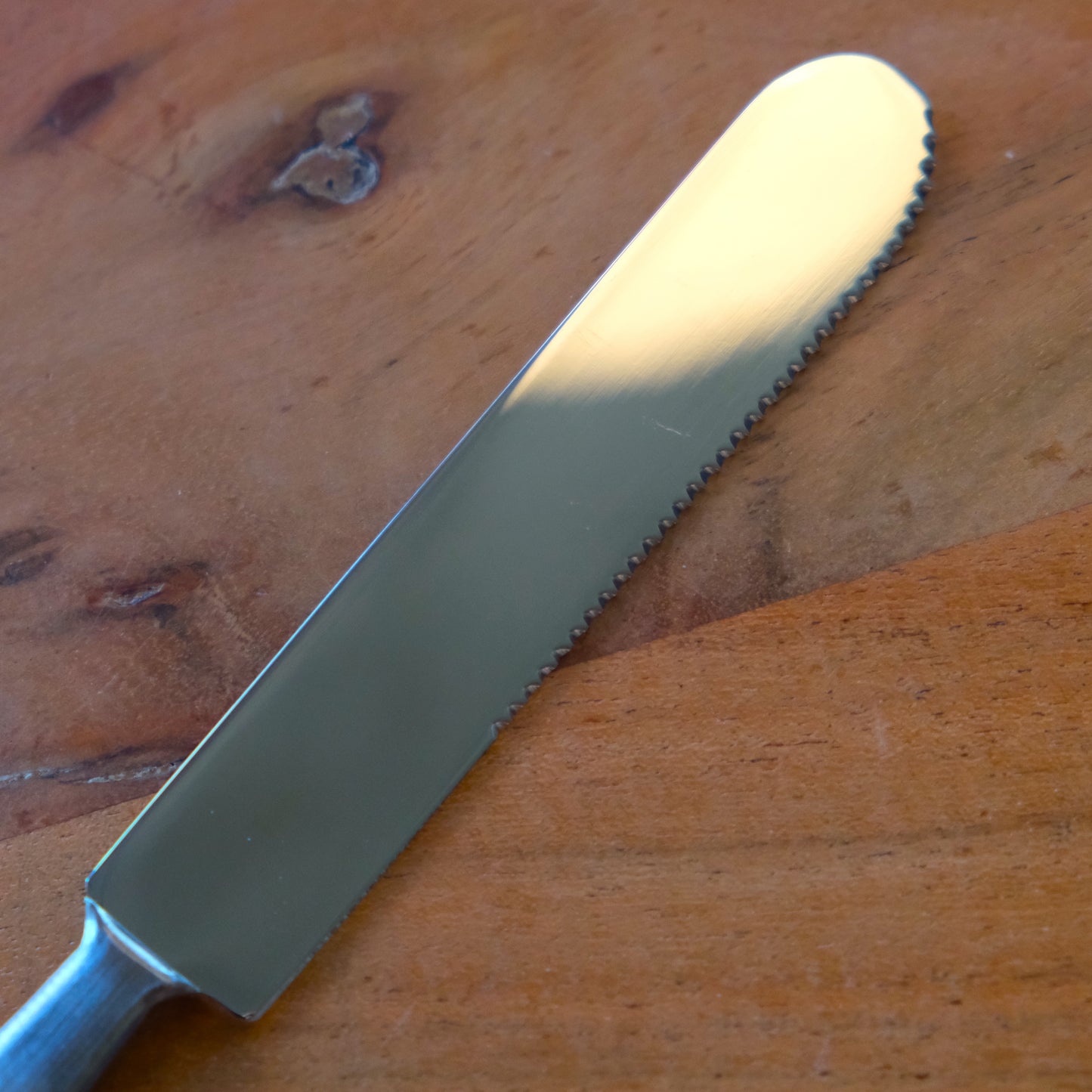 Yuichi Takemata Table Knife