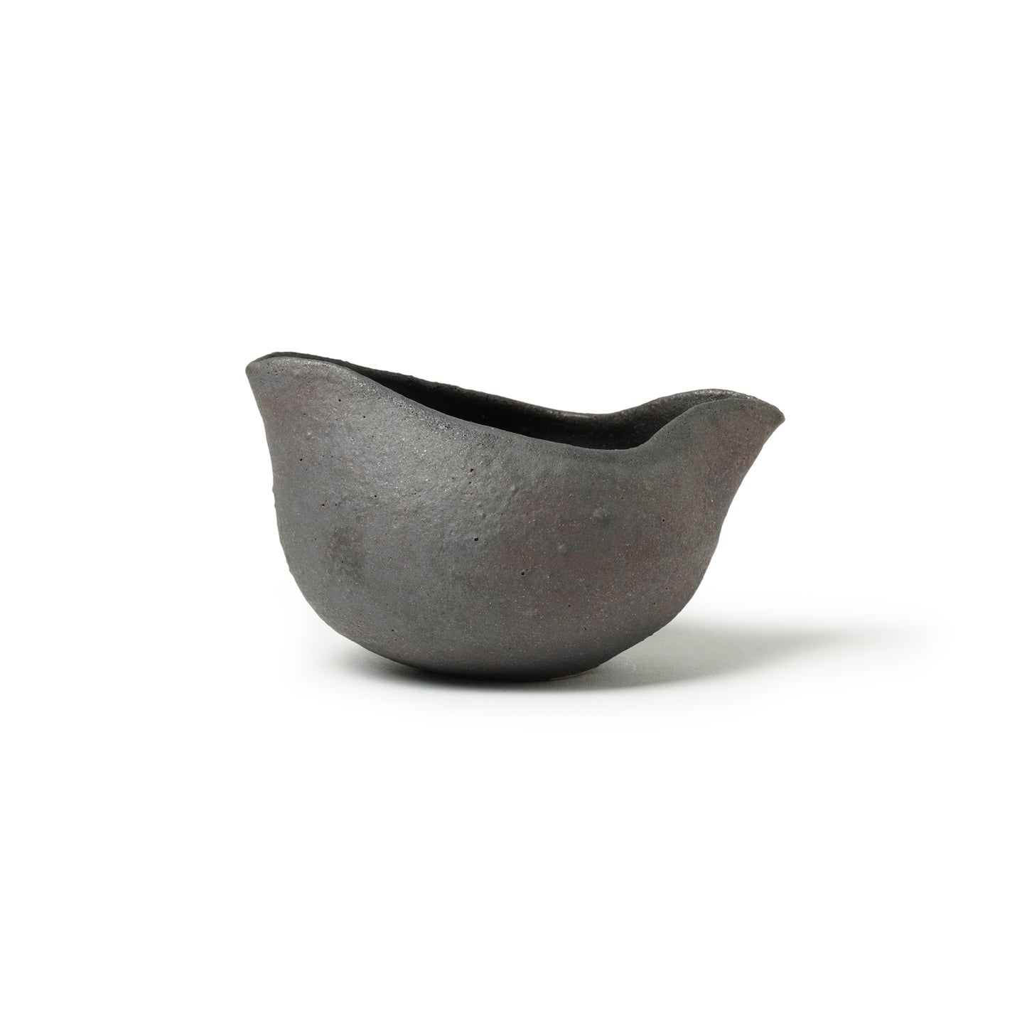 Yusuke Wakasa Katakuchi Sake Server