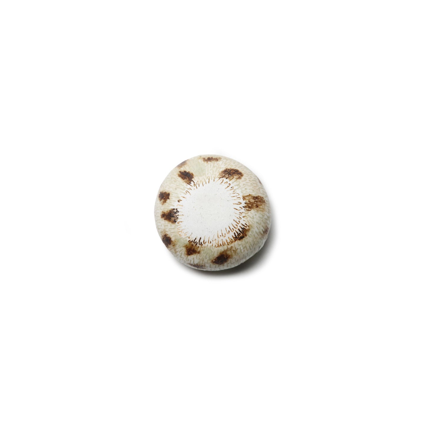 Shizuko Hasuo Guinomi Mini Cup