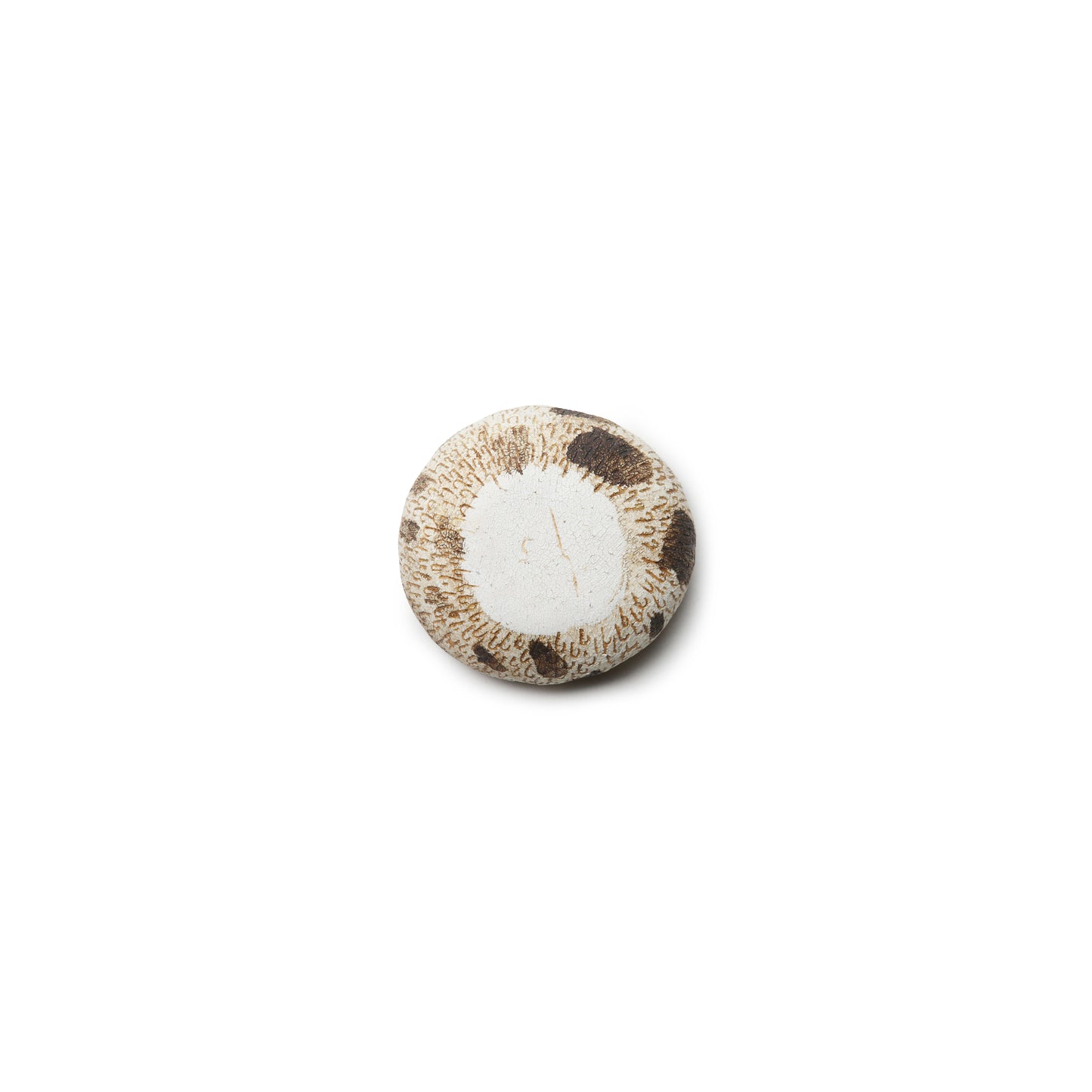 Shizuko Hasuo Guinomi Mini Cup