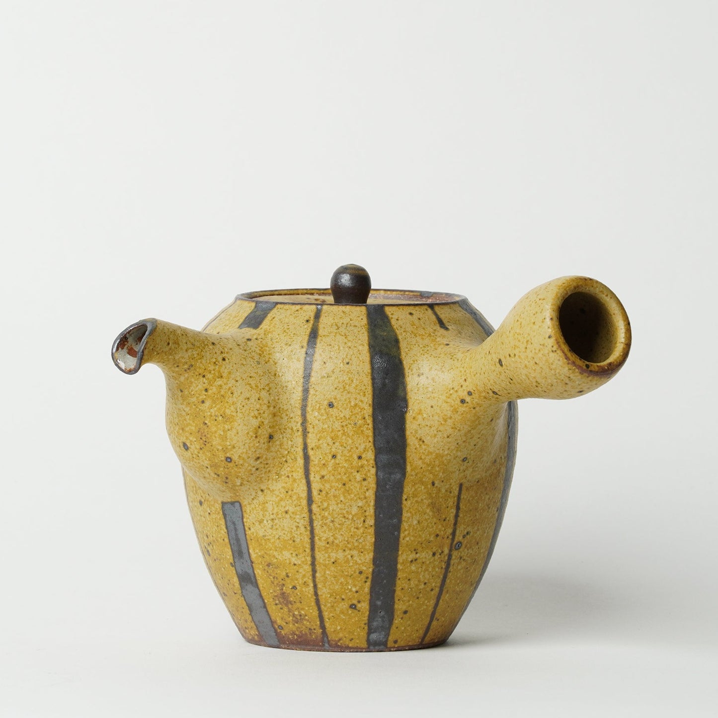 Toshinobu Araya Ryukakugama Tea Pot