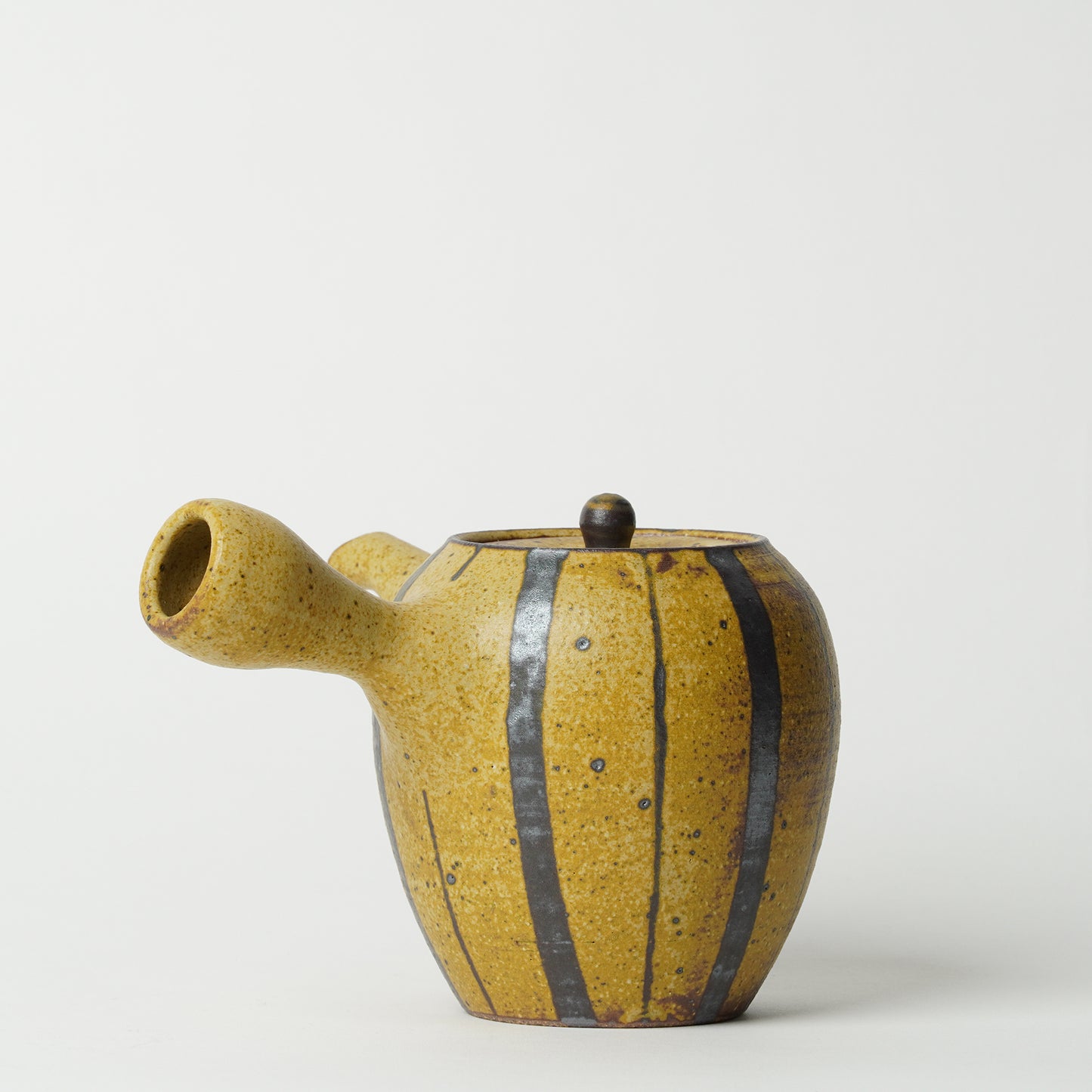 Toshinobu Araya Ryukakugama Tea Pot