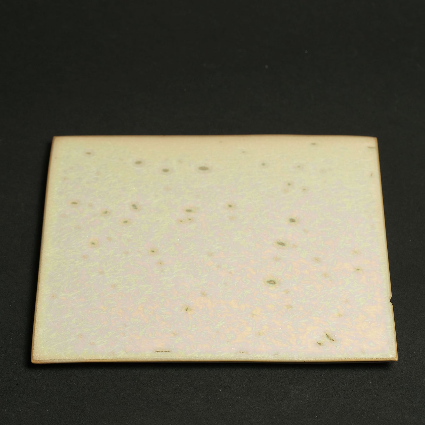 Shota Miyashita Square Plate Albus S