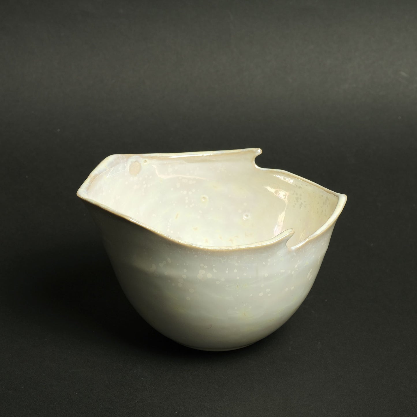 Shota Miyashita Katakuchi Bowl Albus