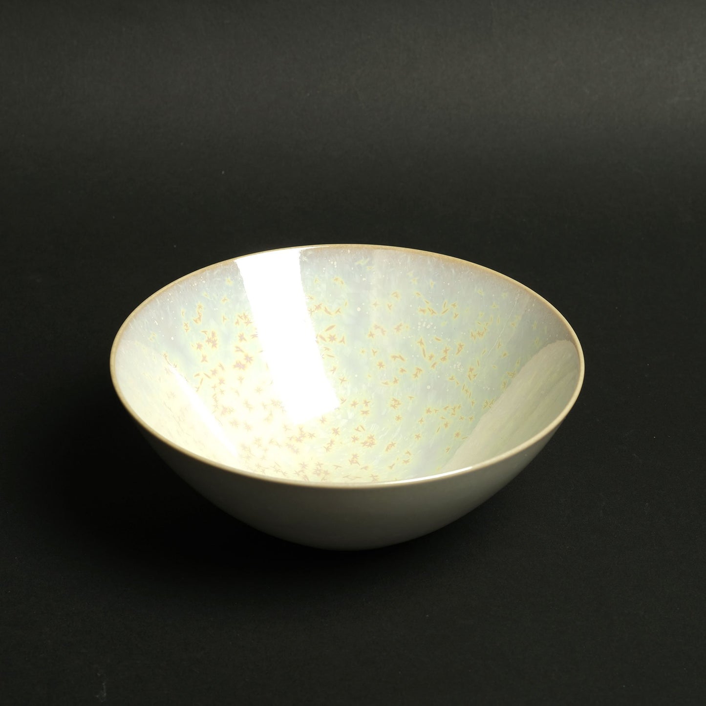 Shota Miyashita Bowl Albus L