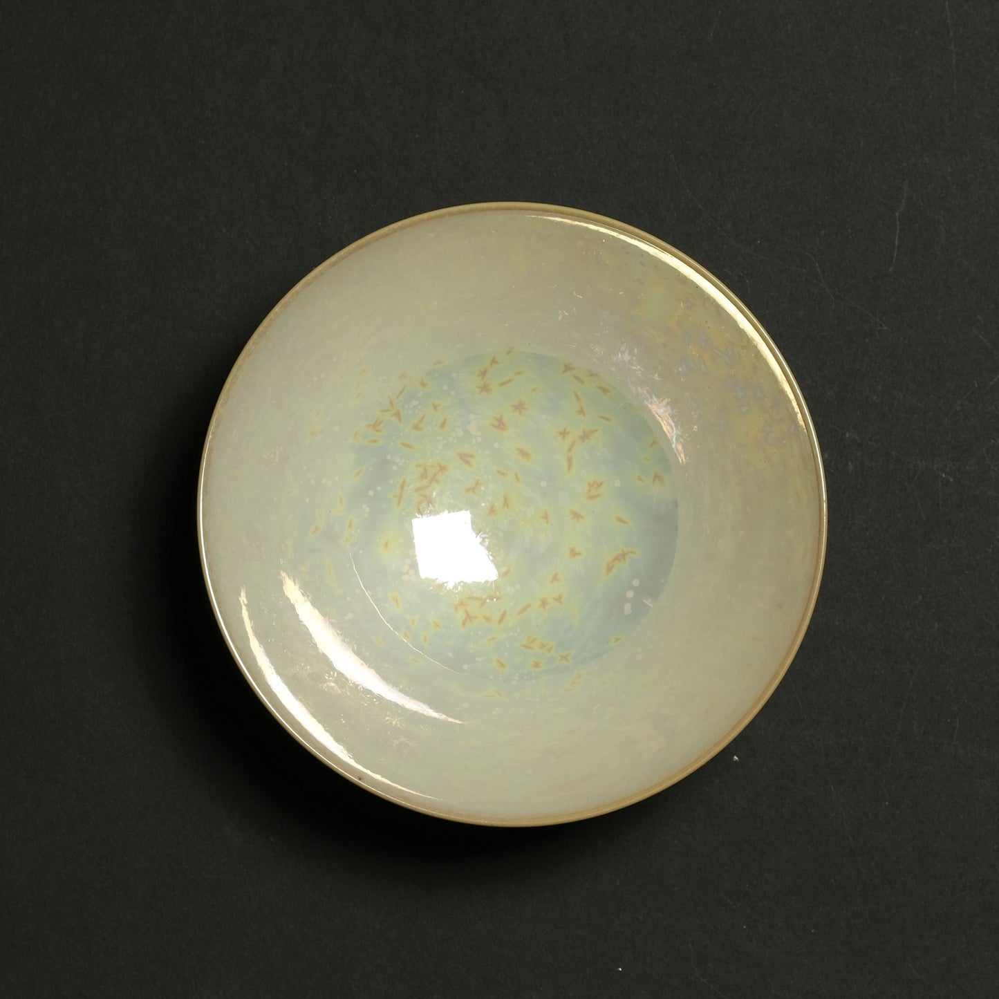 Shota Miyashita Bowl Albus S