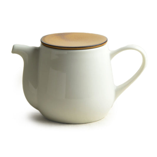 Minoyaki Tea Pot