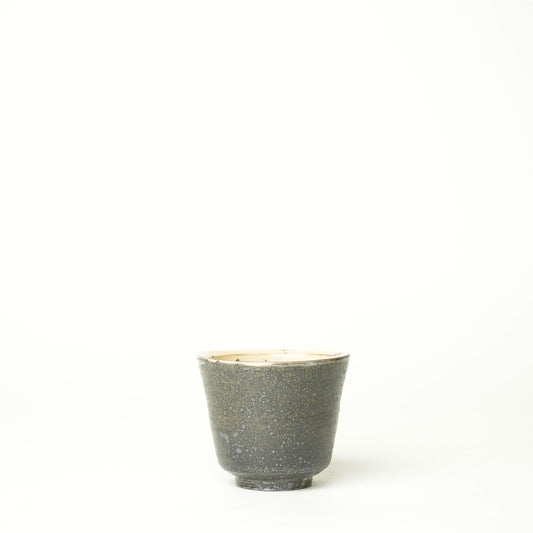 Ryutagama Kenta Nakazato Kohiki Cup