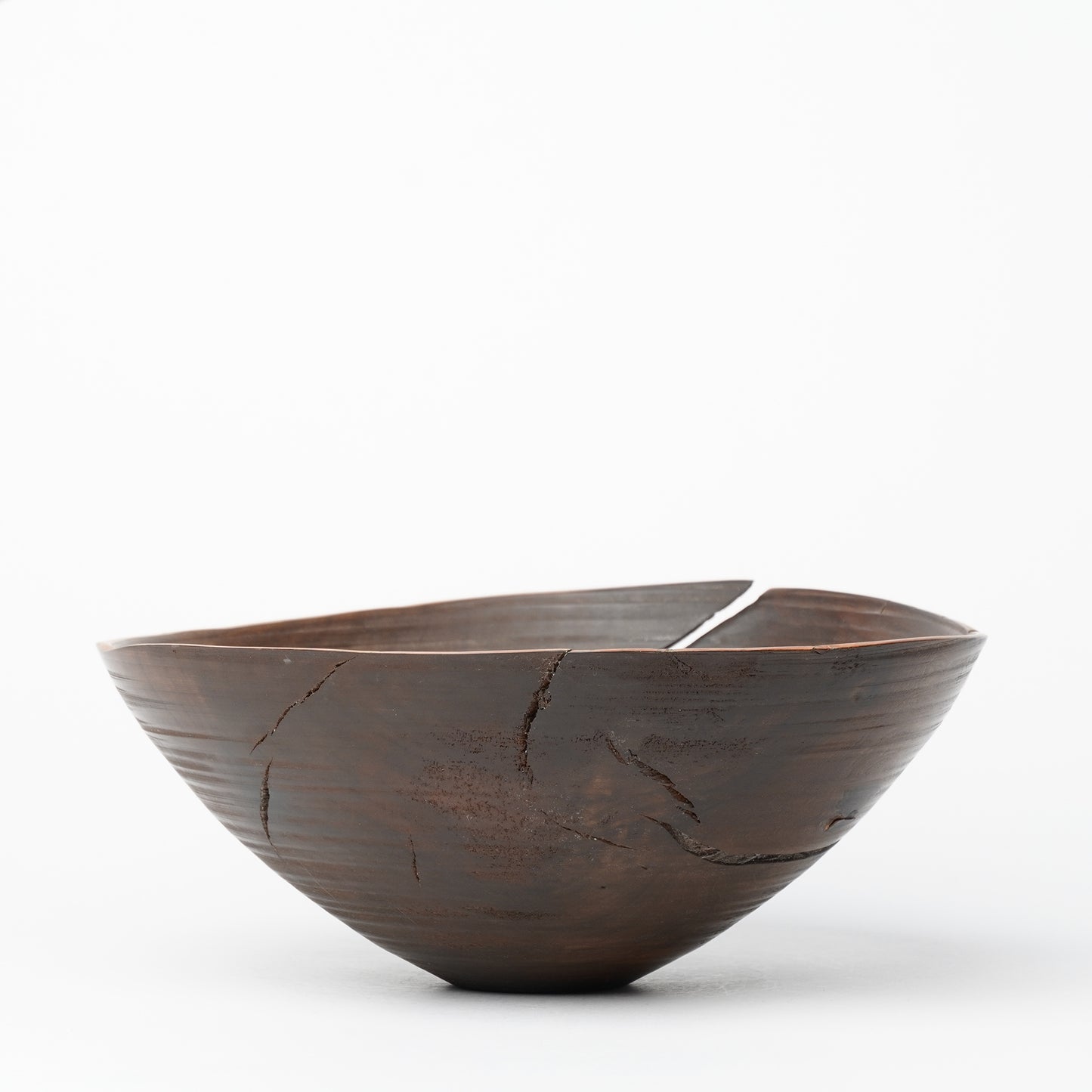 Yuzo Komada Apple Tree Bowl