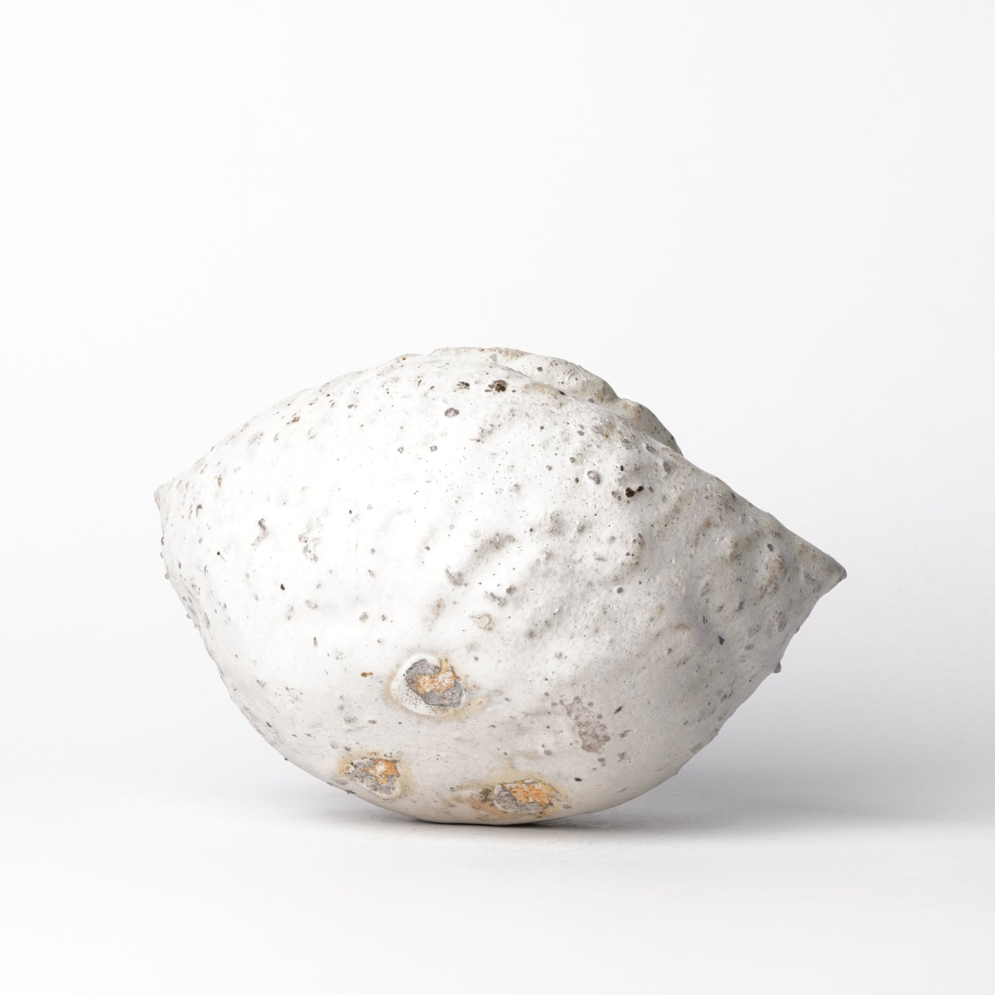 Mino Woodfired Exhibition Chiharu Oguro Vase