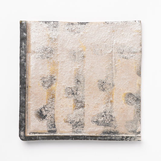 Atsushi Nakata Square Plate