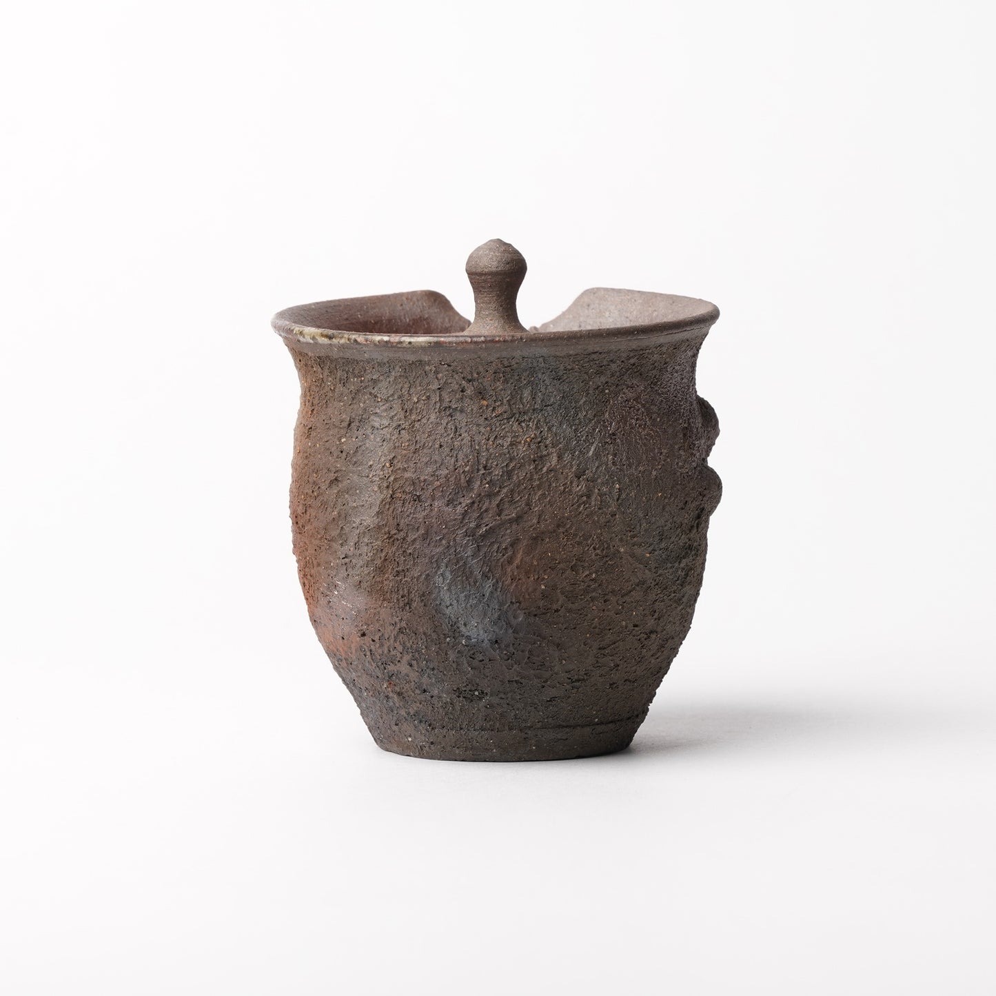 Toshinobu Araya Ryukakugama Hohin Teapot