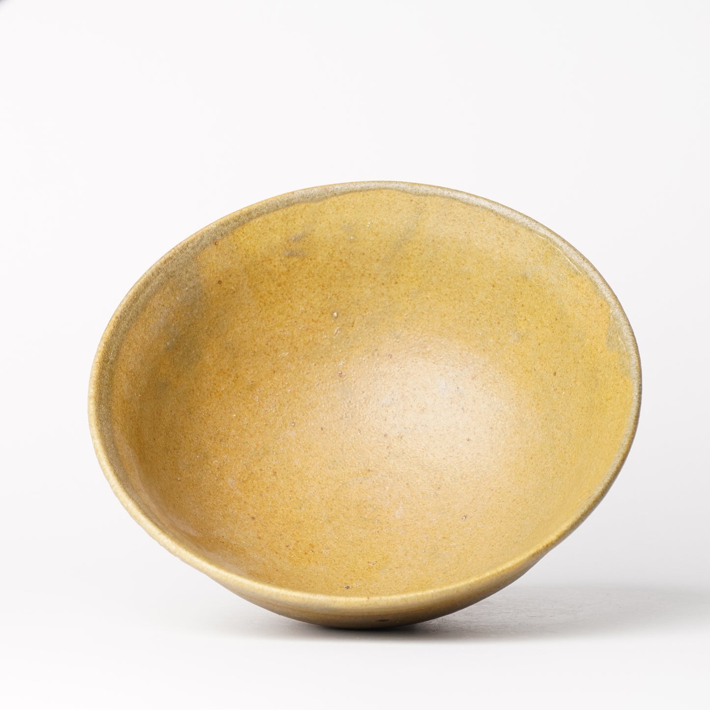 Mino Woodfired Exhibition Taro Tanaka Bowl