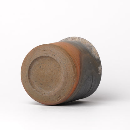Ryutagama Taki Nakazato Yunomi Cup Nanban Woodfired