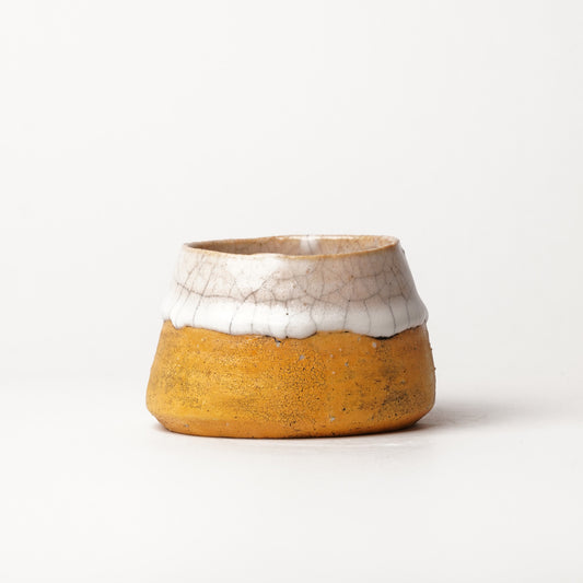 Kazuhiro Katase Cup