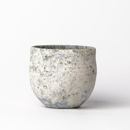 Akari Karugane Cup