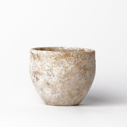 Akari Karugane Cup