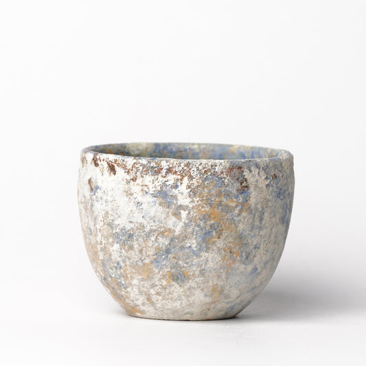 Akari Karugane Cup