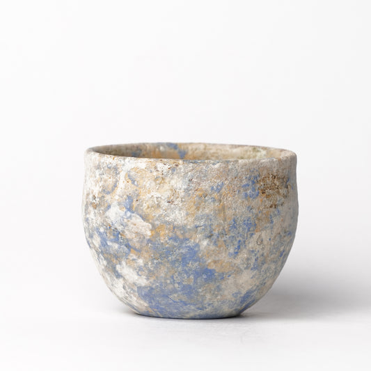 Akari Karugane Cup
