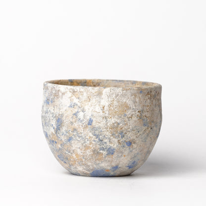 Akari Karugane Cup