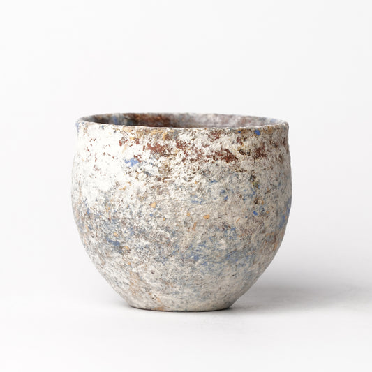 Akari Karugane Cup