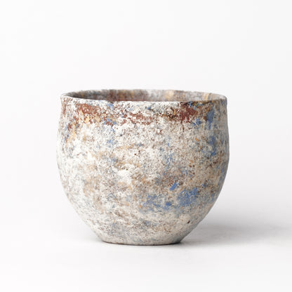 Akari Karugane Cup